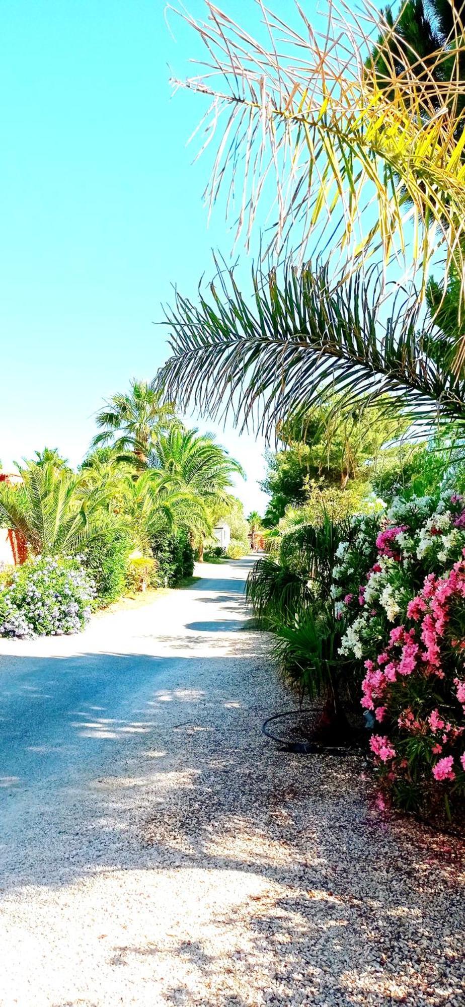 Happymobilhome Argeles-Sur-Mer -Plage A 500M- Camping 4 Etoiles Del Mar Luaran gambar